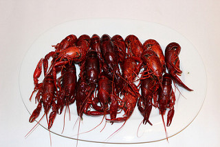 Boiled Louisiana crawfish