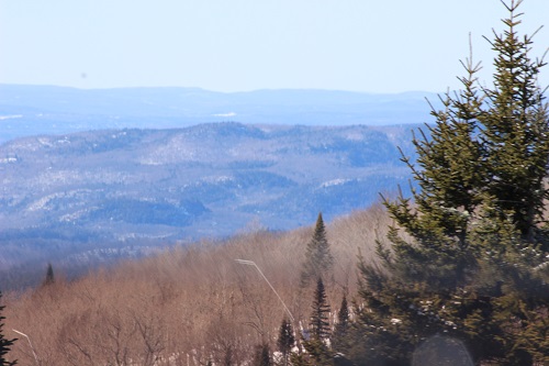 Forest and mountains